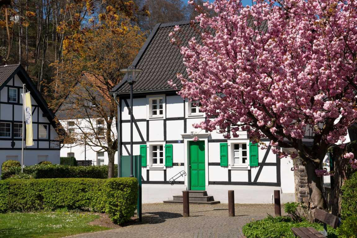 Immobilien im Frühjahr: Ein Frühjahrscheck für Eigentümer, Käufer und Verkäufer.